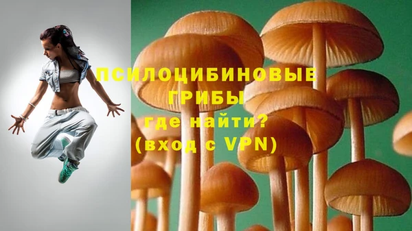прущая мука Абаза