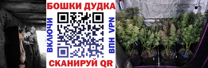 Бошки Шишки гибрид цена darknet телеграм Емва